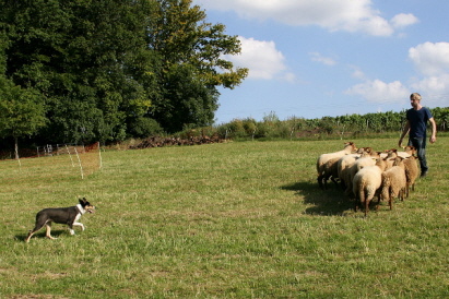 Wolfgang und Lady