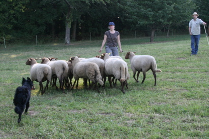 Sybille und Velvet