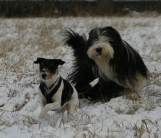 Crazy & Imaya Januar 2009