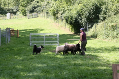 Sybille und Franky