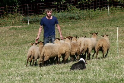 Wolfgang und Lady